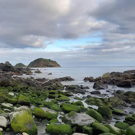 Homestay Amateur Runners