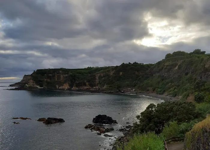 Amateur Runners 홈스테이