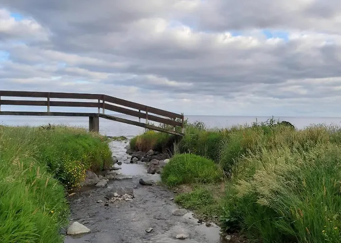 Amateur Runners 홈스테이